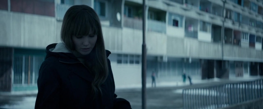 Red_Sparrow_2810329.jpg
