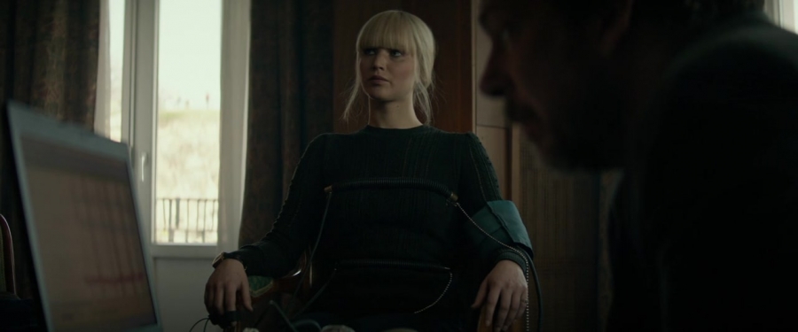 Red_Sparrow_28114929.jpg