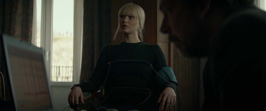 Red_Sparrow_28115129.jpg