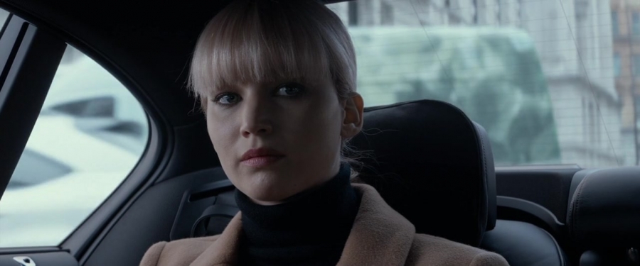 Red_Sparrow_28129129.jpg
