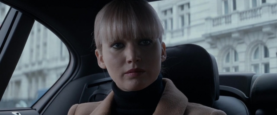 Red_Sparrow_28129629.jpg