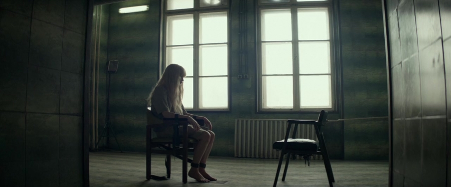 Red_Sparrow_28133229.jpg