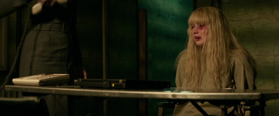 Red_Sparrow_28137929.jpg
