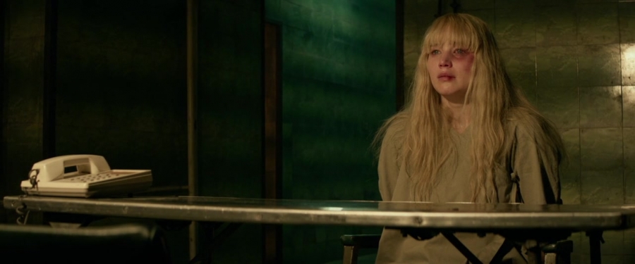 Red_Sparrow_28138529.jpg