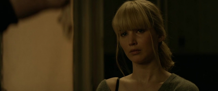 Red_Sparrow_28152529.jpg