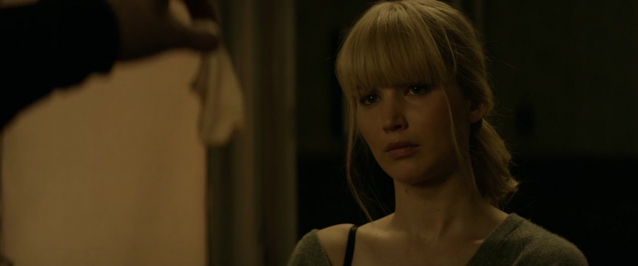 Red_Sparrow_28152629.jpg