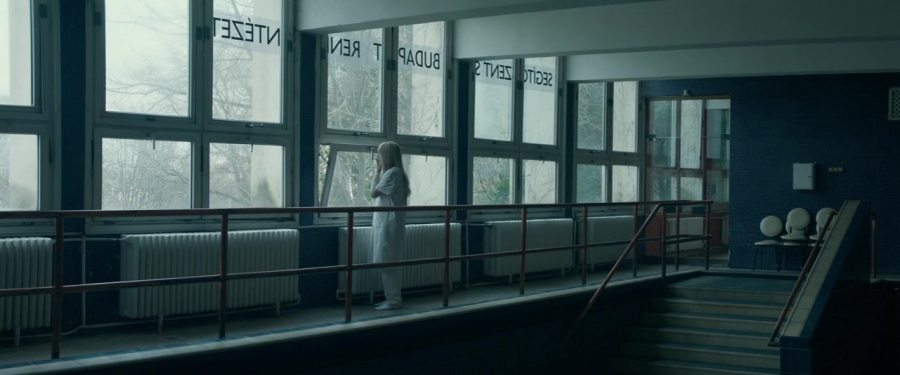 Red_Sparrow_28155429.jpg