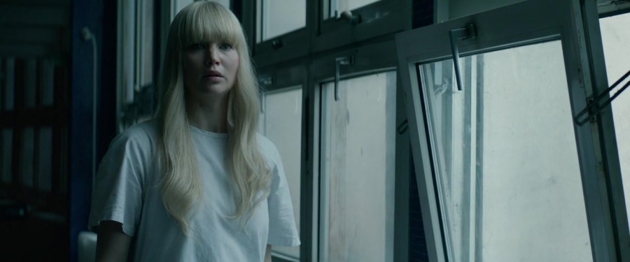 Red_Sparrow_28155729.jpg