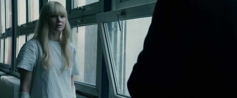 Red_Sparrow_28156529.jpg