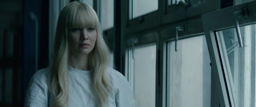 Red_Sparrow_28156729.jpg