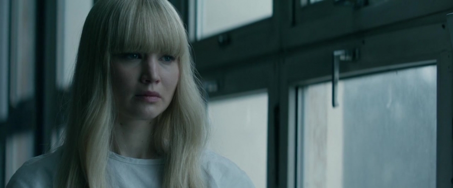 Red_Sparrow_28158229.jpg