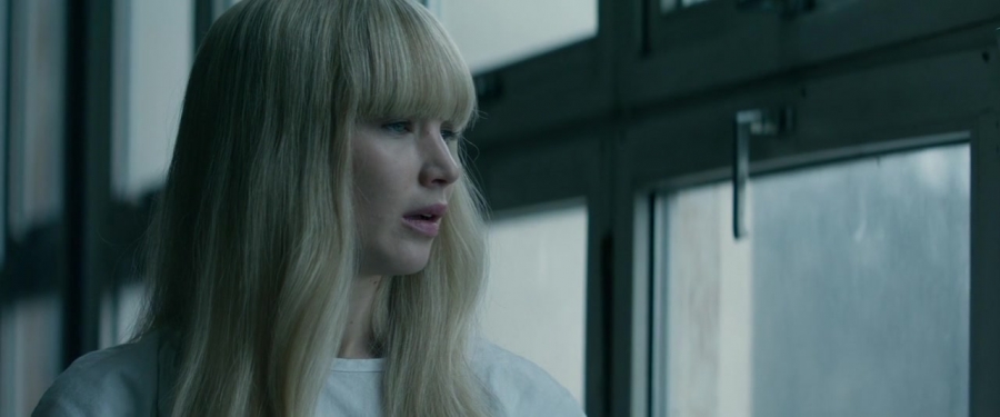 Red_Sparrow_28158329.jpg