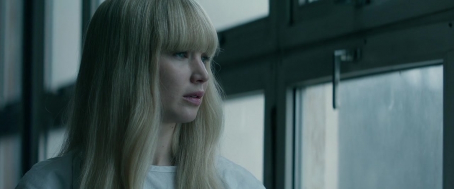 Red_Sparrow_28158429.jpg