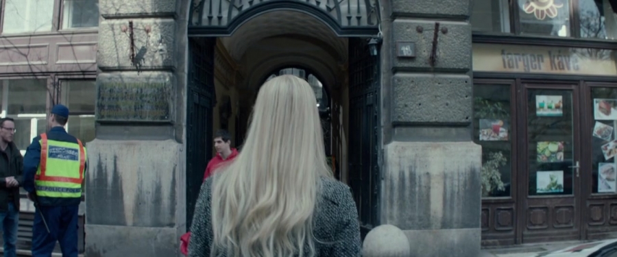 Red_Sparrow_28159829.jpg