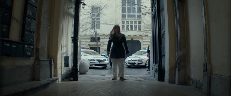 Red_Sparrow_28159929.jpg