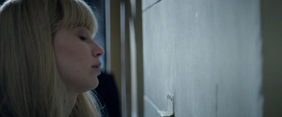 Red_Sparrow_28160529.jpg