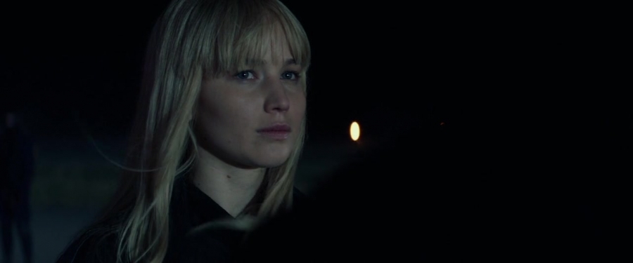 Red_Sparrow_28166029.jpg