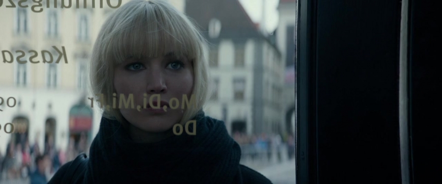 Red_Sparrow_28166729.jpg