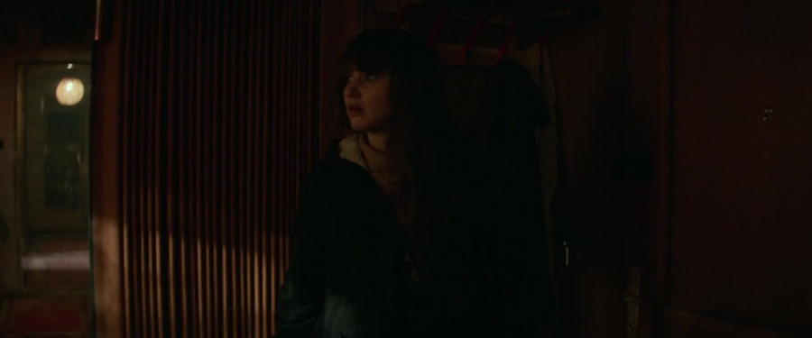 Red_Sparrow_2816929.jpg