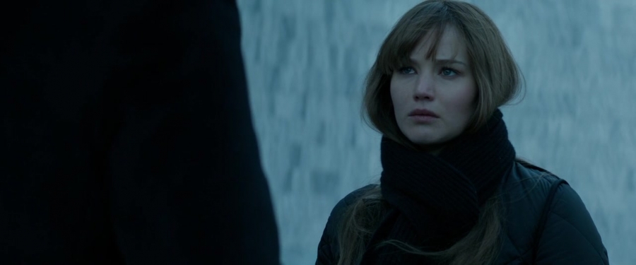 Red_Sparrow_2820029.jpg