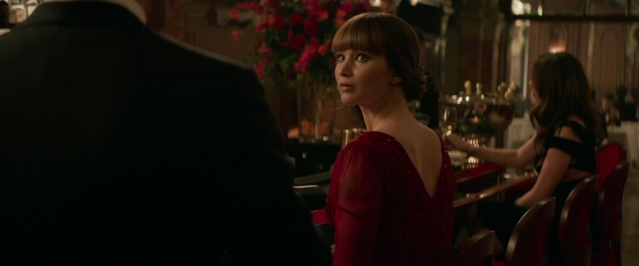 Red_Sparrow_2822629.jpg