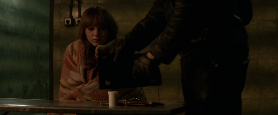 Red_Sparrow_2833429.jpg