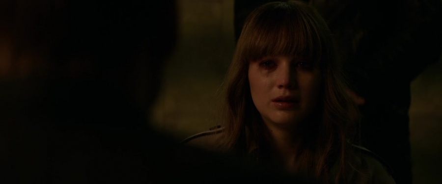 Red_Sparrow_2835429.jpg