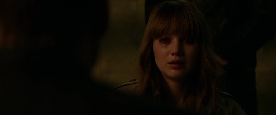 Red_Sparrow_2835529.jpg
