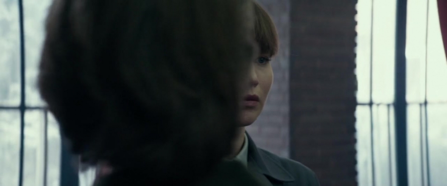 Red_Sparrow_2841929.jpg