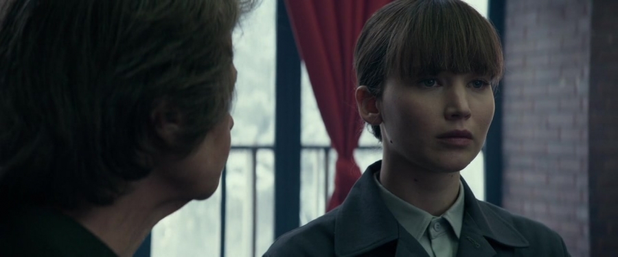 Red_Sparrow_2842029.jpg