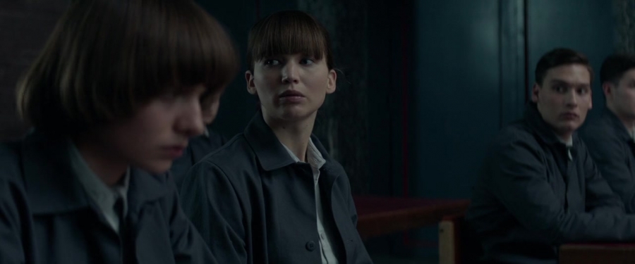 Red_Sparrow_2843929.jpg