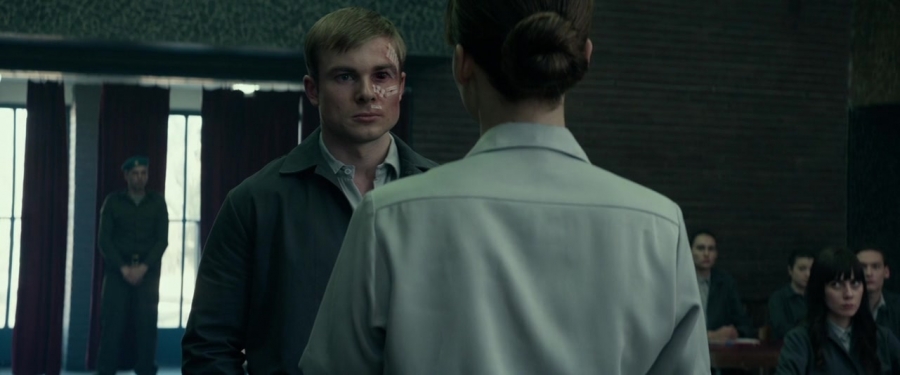 Red_Sparrow_2851829.jpg
