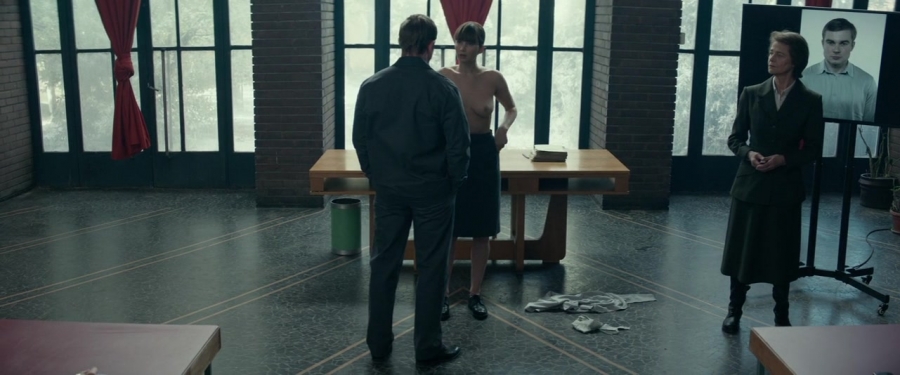 Red_Sparrow_2852729.jpg
