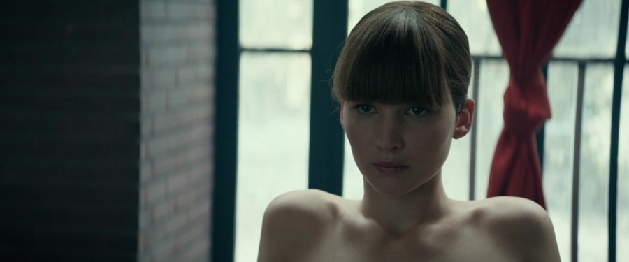 Red_Sparrow_2853129.jpg