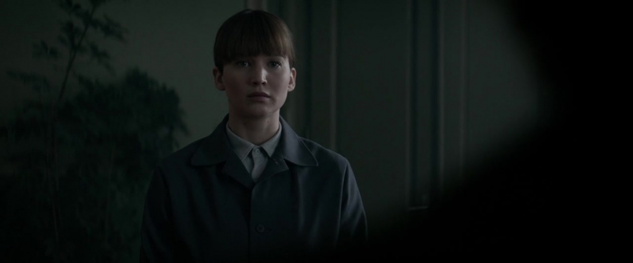 Red_Sparrow_2853729.jpg