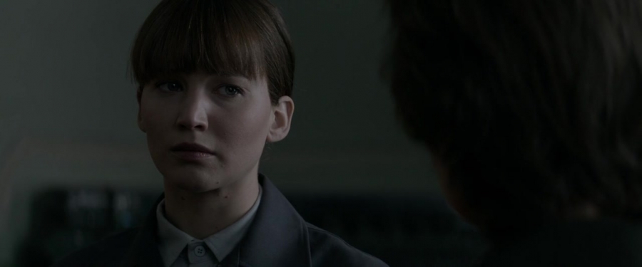 Red_Sparrow_2854329.jpg