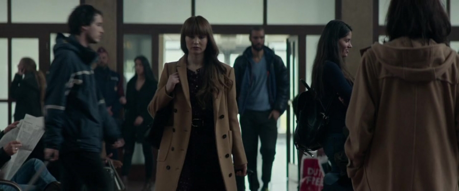 Red_Sparrow_2859329.jpg