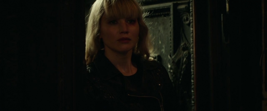 Red_Sparrow_2884729.jpg