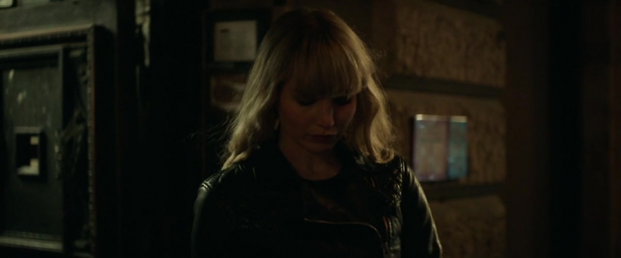 Red_Sparrow_2884829.jpg