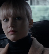 Red_Sparrow_28129129.jpg
