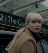 Red_Sparrow_28130129.jpg