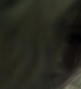 Red_Sparrow_28135329.jpg