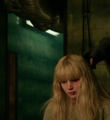 Red_Sparrow_28137129.jpg