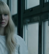 Red_Sparrow_28156729.jpg