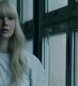 Red_Sparrow_28157129.jpg