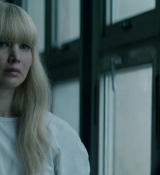 Red_Sparrow_28157229.jpg