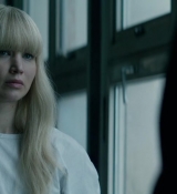 Red_Sparrow_28157629.jpg