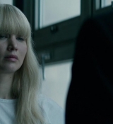 Red_Sparrow_28157729.jpg
