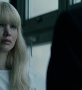 Red_Sparrow_28157829.jpg