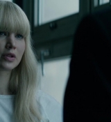 Red_Sparrow_28158029.jpg
